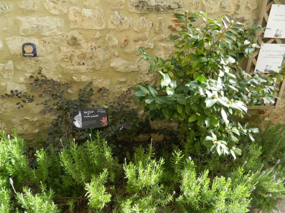 Casa Dell'Oliveto "Parcheggio Gratuito" Apartment นาร์นี ภายนอก รูปภาพ
