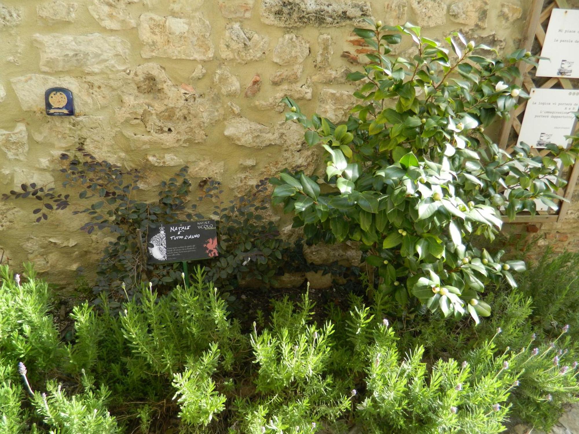 Casa Dell'Oliveto "Parcheggio Gratuito" Apartment นาร์นี ภายนอก รูปภาพ